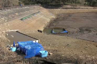 ｢掻い掘り」調査中に緊急事態宣言～都立狭山公園（東村山市）