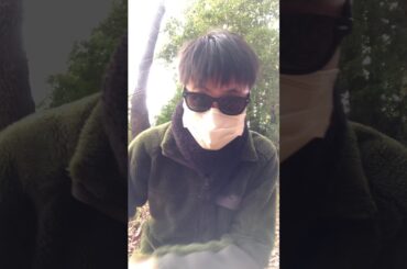 朝倉未来が堀口恭司にカーフキックされたらどうなるの？？←その答えがコチラ