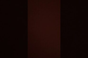 WHITE BREATH TMRevolution 西川貴教　byひろし　毎日ワンフレーズ歌う動画　92日目