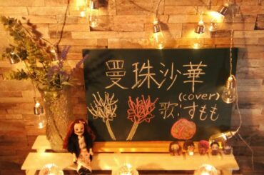 山口百恵さん /　曼珠沙華(cover)