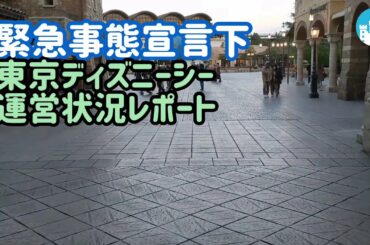【2月】緊急事態宣言下のディズニーシー レポート