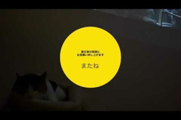 地震が起きたら、写真、レシートで保険の準備。福島、宮城地震被災者の皆様のご無事をお祈りします。