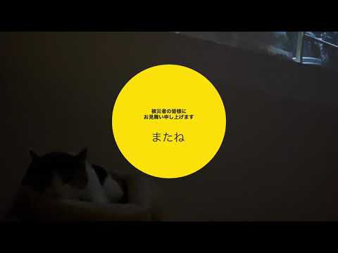 地震が起きたら、写真、レシートで保険の準備。福島、宮城地震被災者の皆様のご無事をお祈りします。 地震が起きたら、写真、レシートで保険の準備。福島、宮城地震被災者の皆様のご無事をお祈りします。