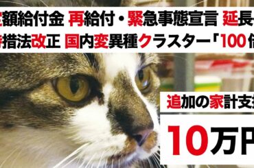 【特別定額給付金・菅政権 三本の矢 緊急事態宣言 延長】特措法・感染症法 改正 解説 VS 変異種クラスター「増殖力100倍 同時感染」【再給付】新たな補償と家計支援「総合支援資金」