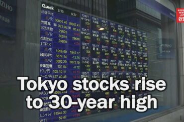 Tokyo stocks rise to 30-year high