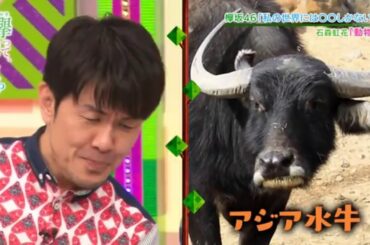 [New] 【欅坂４６】そこ曲がったら、櫻坂?🍄🅽🅴🆆🌸# 26 Full Show!!