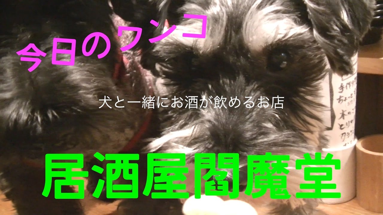 【そうだ】居酒屋閻魔堂でワチャワチャ呑んだくれる【前乗りの前乗りをしよう】