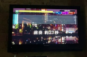 丸ノ内サディスティック/椎名林檎 カラオケ 歌ってみた 【男性キー −5】