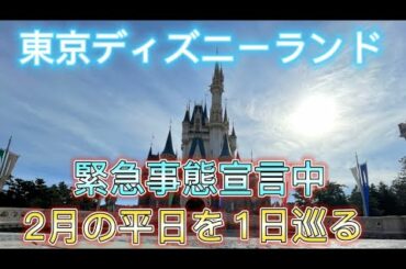緊急事態宣言延長中の平日の東京ディズニーランドを1日巡る
