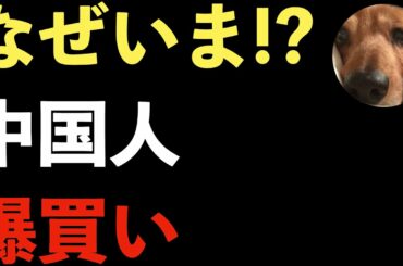 まさか！緊急事態宣言中でも中国人が爆買い！水際対策が不十分すぎる日本政府！コロナ対策！【Masaニュース雑談】