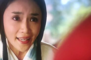 2017年  大河ドラマ『おんな城主直虎』～井伊直親ver.