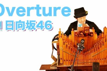 【日向坂46「Overture」】手回しオルガン/StreetOrgan(Flute type)