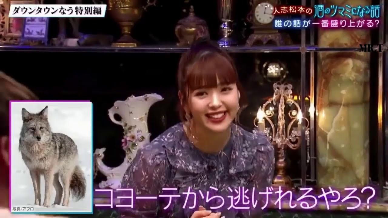 『ダウンタウンなう』 🅽🅴🆆 「藤原紀香&二階堂高嗣」 人志松本の酒のツマミになる話。今更恥ずかしくて聞けないこと。フジモン久々のタピオカに号泣!? VOL 2 『ダウンタウンなう』 🅽🅴🆆 「藤原紀香&二階堂高嗣」 人志松本の酒のツマミになる話。今更恥ずかしくて聞けないこと。フジモン久々のタピオカに号泣!? VOL 2