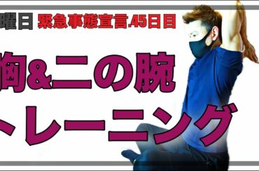 【4分間】胸と二の腕の上半身トレーニング！【緊急事態宣言中に運動不足にさせない計画！ day.45】