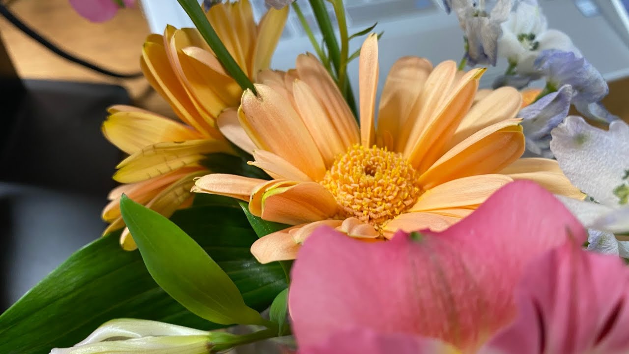 2021/02/24 朝のご挨拶🅱️  ①緊急事態宣言3府県解除の要請報道  ②水位低下、圧力低下の原因究明と対処を  ③今日の国会 予算委員会中央公聴会