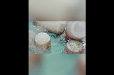 新型コロナワクチン遺伝子兵器で、人間の変異種🤮潜伏期間後に病気又は死亡