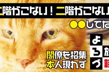 【二階が来ないぞ！】 福島で震度6の地震発生、その時、二階幹事長は。アンジー社長と新入社員トミー「よろづ放談」