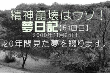 【影絵の夢日記51日目】精神崩壊はウソ！20年間夢日記を書き続けた！2000年11月25日　奥菜恵　広末涼子の夢
