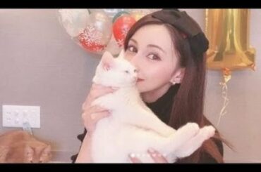 ダレノガレ明美、保護した子猫巡り拾い主とトラブル