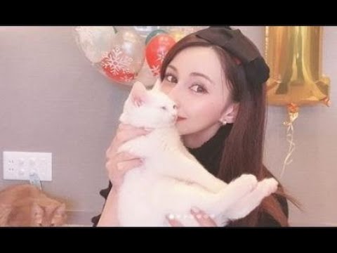 ダレノガレ明美、保護した子猫巡り拾い主とトラブル ダレノガレ明美、保護した子猫巡り拾い主とトラブル