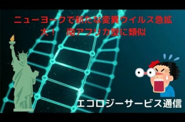 ニューヨークで新たな変異ウイルス急拡大！　南アフリカ型に類似　COVID-19　変異種　変異株　ニューヨーク　基元酵素　EMBC複合発酵バイオ　高嶋康豪
