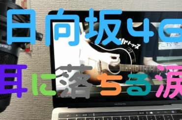 耳に落ちる涙/日向坂46　弾き語り