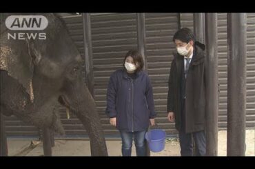 1都3県で緊急事態宣言延長　行楽地などに影響も(2021年3月6日)