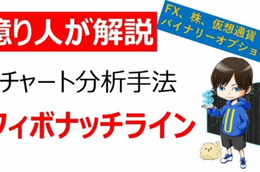 【億り人が解説】フィボナッチライン（仮想通貨・株・FX・バイナリーオプション）／テクニカル分析・チャート分析手法