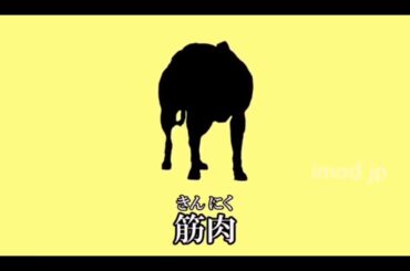 橋本環奈ムスタイル 改