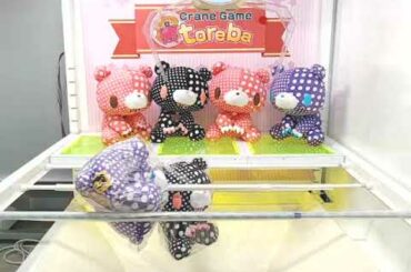 「チャックスＧＰ　いたずらぐまのグル～ミ～　ぬいぐるみ【ＴＥＸＴＩＬＬＩＣ８－ＣＲＡＺＹ　ＤＯＴＳ－】　Ｃ．ドットブラック」がとれました！