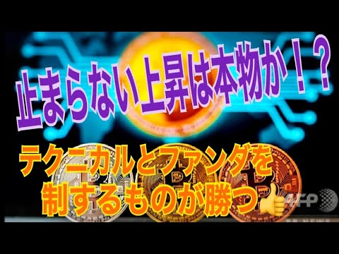 【仮想通貨】ビットコイン止まらない上昇は本物か!? テクニカルとファンダを制する者が勝つ。【暗号資産】 【仮想通貨】ビットコイン止まらない上昇は本物か!? テクニカルとファンダを制する者が勝つ。【暗号資産】