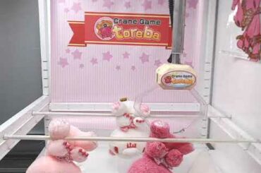 「チャックスＧＰ　いたずらぐまのグル～ミ～ぬいぐるみ　テディグリズリー【Ｓｐｒｉｎｇ　ｅｄｉｔｉｏｎ２０２０－ＳＡＫＵＲＡ－】　Ｃ.サクラマゼンタ」がとれました！