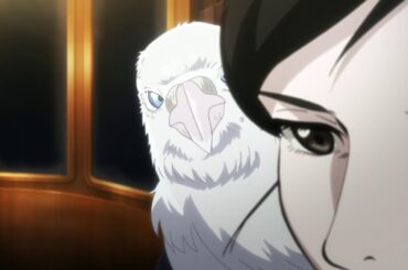 『擾乱　THE PRINCESS OF SNOW AND BLOOD』PV