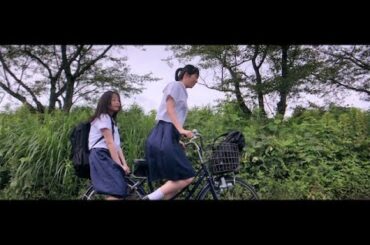 sachi. 『美しい人生』