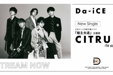 Da-iCE / 「CITRUS」（日本テレビ系日曜ドラマ「極主夫道」主題歌）Teaser