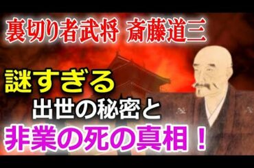 【日本史偉人伝】黒歴史で生涯を語り継がれる戦国時代の武将・斎藤道三！「美濃のマムシ」と呼ばれた真相を簡単解説！