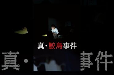 真・鮫島事件