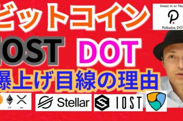 【仮想通貨BTC, ETH, XRP, XLM, DOT, NEM, IOST】ビットコイン、IOST, ポルカドット爆上げ目線の理由