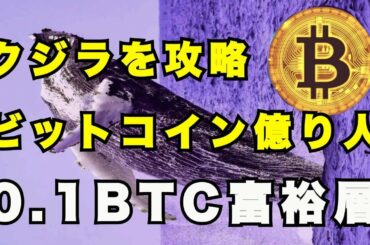 0.1ビットコインで富裕層 クジラを攻略 bitcoin 億り人 2021年トレードしないと大損 勝負しないと完全に乗り遅れる ショートスリーパー 仮想通貨 暗号資産 リップル XRP