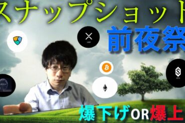 【仮想通貨ビットコイン，リップル，イーサリアム，XEM,IOST,ATOM】XEMスナップショット前夜祭。爆上げor爆下げ？