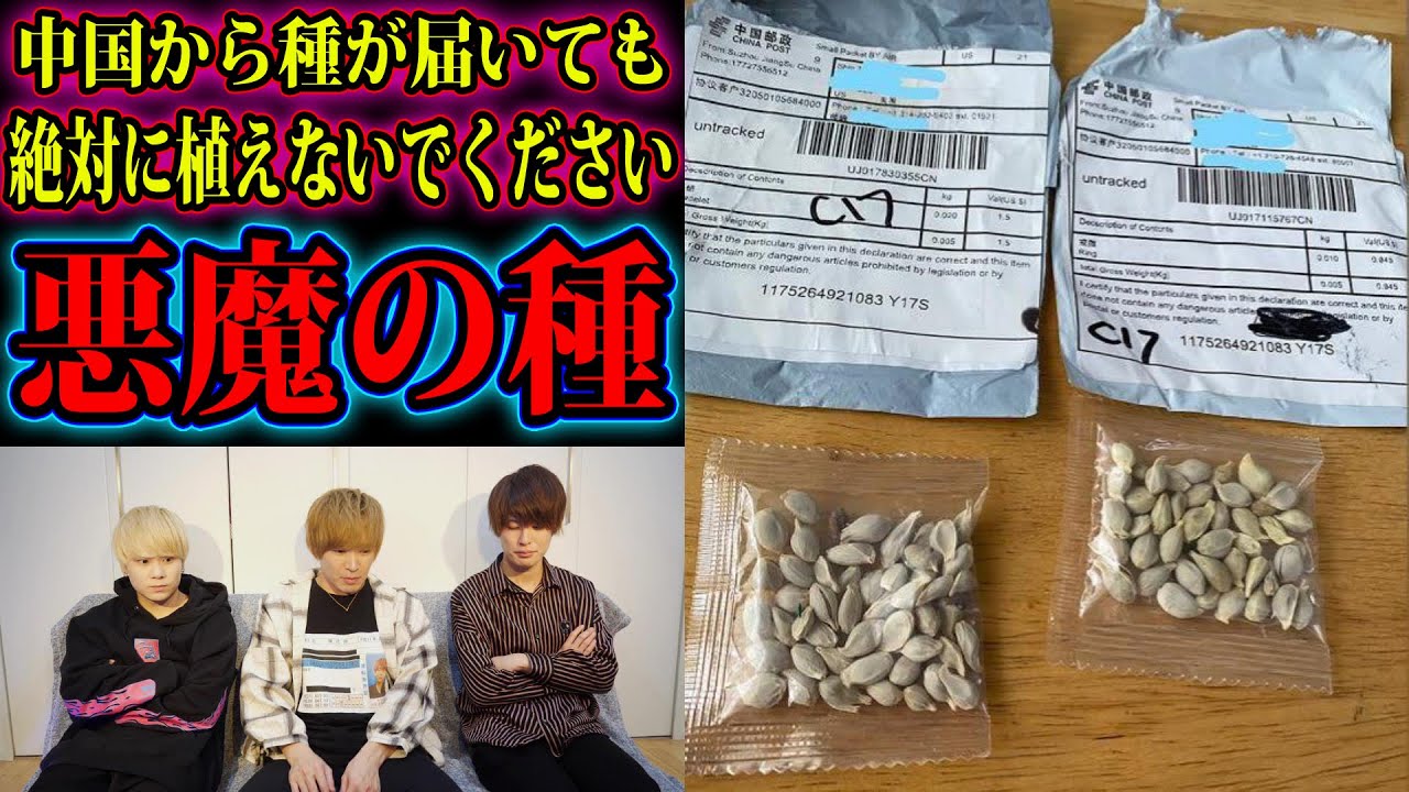 謎の種が送られてくる事件が日本で多発中、植えるとヤバいので絶対に見て下さい。 謎の種が送られてくる事件が日本で多発中、植えるとヤバいので絶対に見て下さい。
