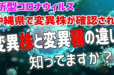 新型コロナウィルスの変異株と変異種って何が違うの？【沖縄移住】