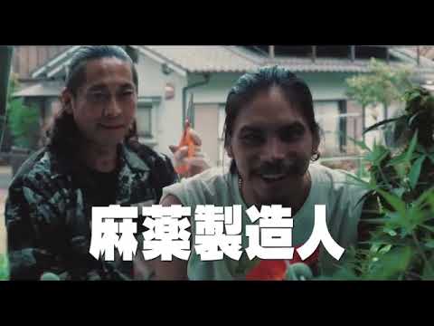 映画『脳天パラダイス』特報 映画『脳天パラダイス』特報