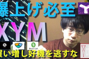 【仮想通貨XEM,IOST,チリーズ,ビットコインキャッシュ】シンボルトークン爆上げ！！