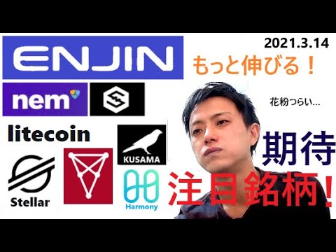 仮想通貨エンジンコイン,NEM,IOST,LTC,ステラルーメン,CHZ,KSM,ONE2021 3 14銘柄分析 仮想通貨エンジンコイン,NEM,IOST,LTC,ステラルーメン,CHZ,KSM,ONE2021 3 14銘柄分析