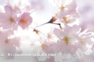 『春よ、来い』New！cover (Vo.KANNA Gt.BLACK END)