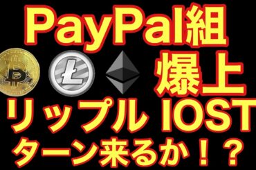 【相場分析】PayPal組爆上 他通貨ターンは来るか？IOSTビットコインリップルイーサリアムライトコインモナコインBTC.ETH.XRP.LTC.MONACOIN