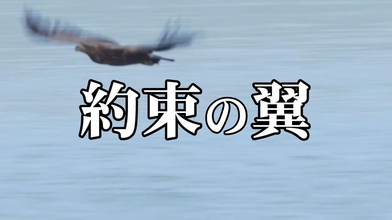 約束の翼 -MISIA- 【長澤まさみ フォトムービー】 約束の翼 -MISIA- 【長澤まさみ フォトムービー】