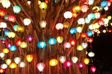 【ﾁﾜﾜとﾄｲﾌﾟｰﾄﾞﾙの ひな祭り】036 チワワとトイプードルが着物を着て雛祭りをしました。ワンちゃんネコちゃん大好き一緒の暮らしBonnieちゃん日記