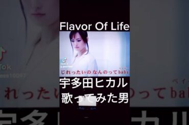 Flavor Of Life 宇多田ヒカル 歌ってみた 男 2